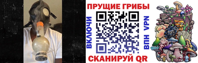 где можно купить наркотик  Тюкалинск  Галлюциногенные грибы MAGIC MUSHROOMS 